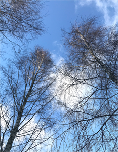 Природа 710.png